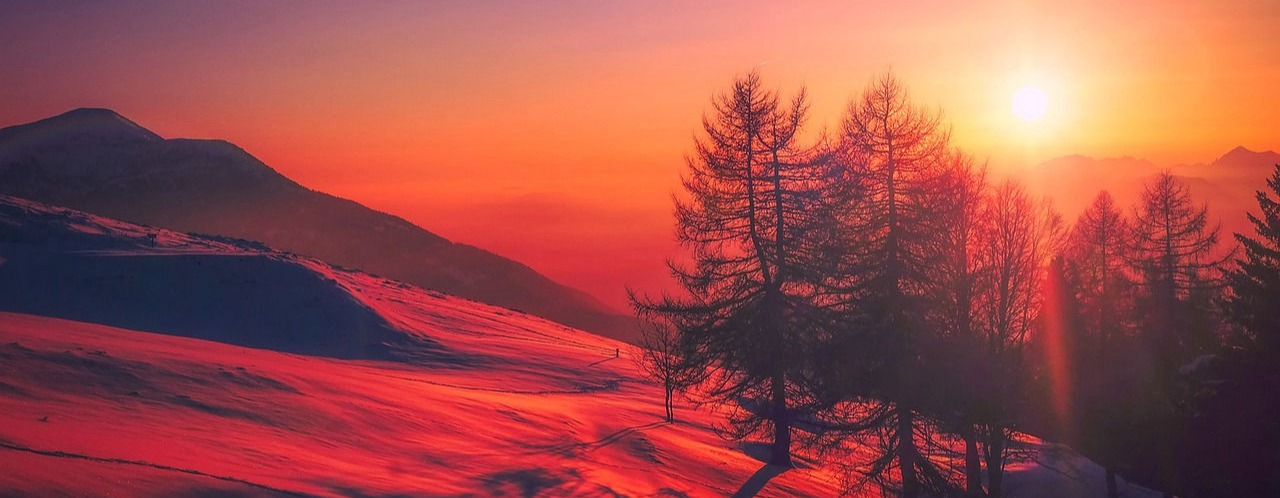 Andrea Haag Friedrichshafen