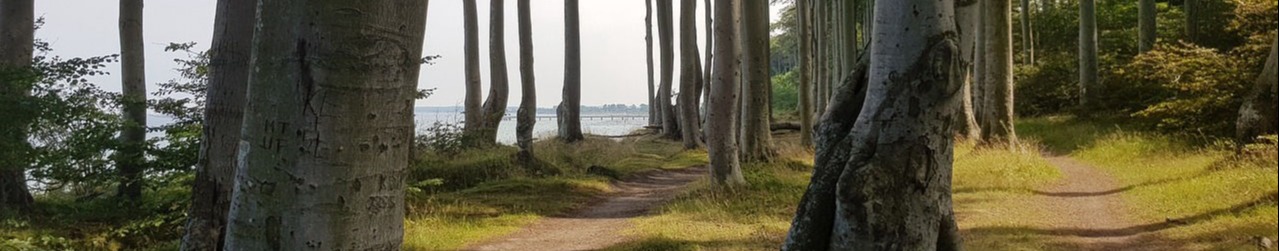 Andrea Haag Friedrichshafen