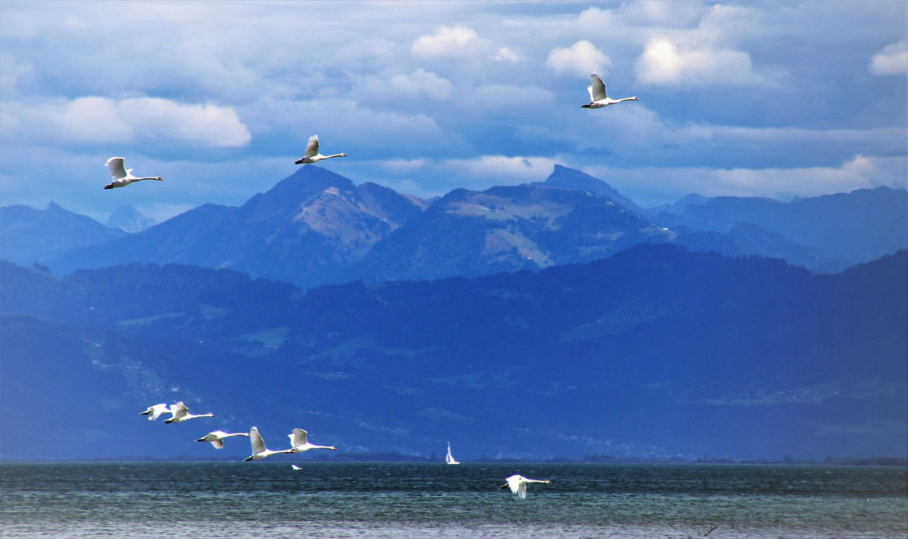 Andrea Haag Psychotherapiepraxis Friedrichshafen